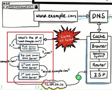 dns dns